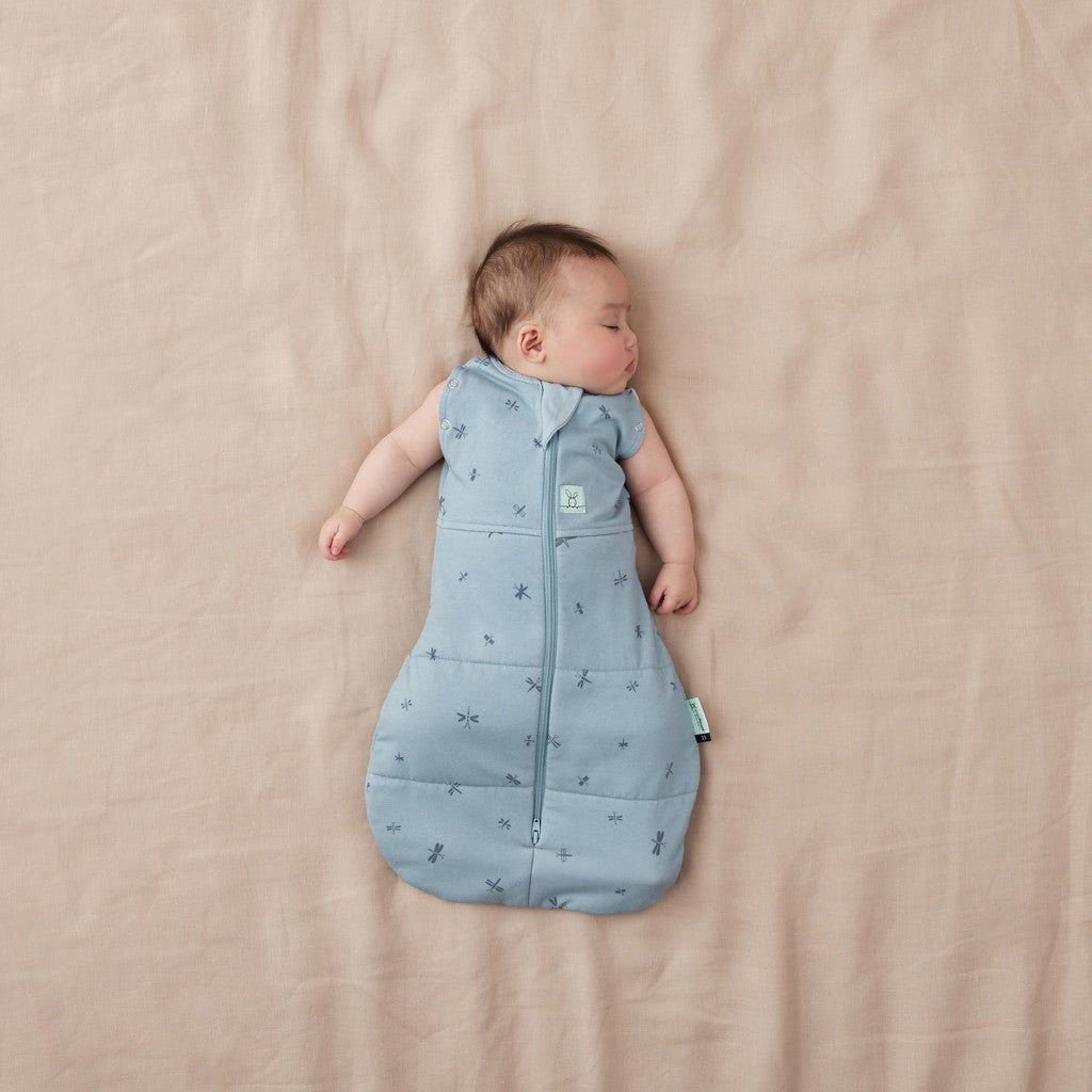 ErgoPouch sac de dormit si de infasat 2in1 Cocoon 3-6 kg 0-3 luni 2,5 Tog Dragonflies