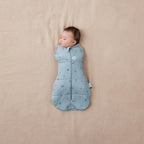 ErgoPouch sac de dormit si de infasat 2in1 Cocoon 3-6 kg 0-3 luni 2,5 Tog Dragonflies