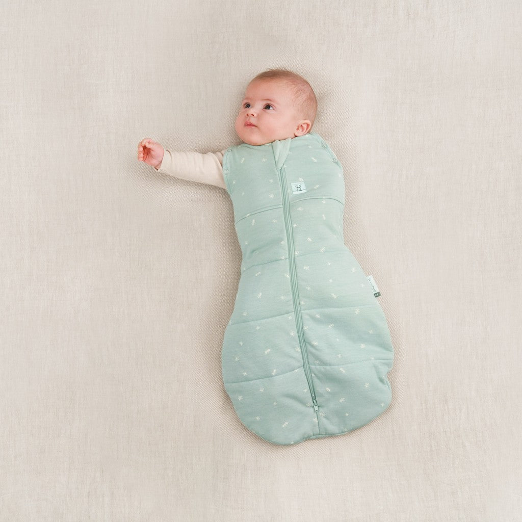 ErgoPouch sac de dormit si de infasat 2in1 Cocoon 3-6 kg 0-3 luni 2,5 Tog Sage