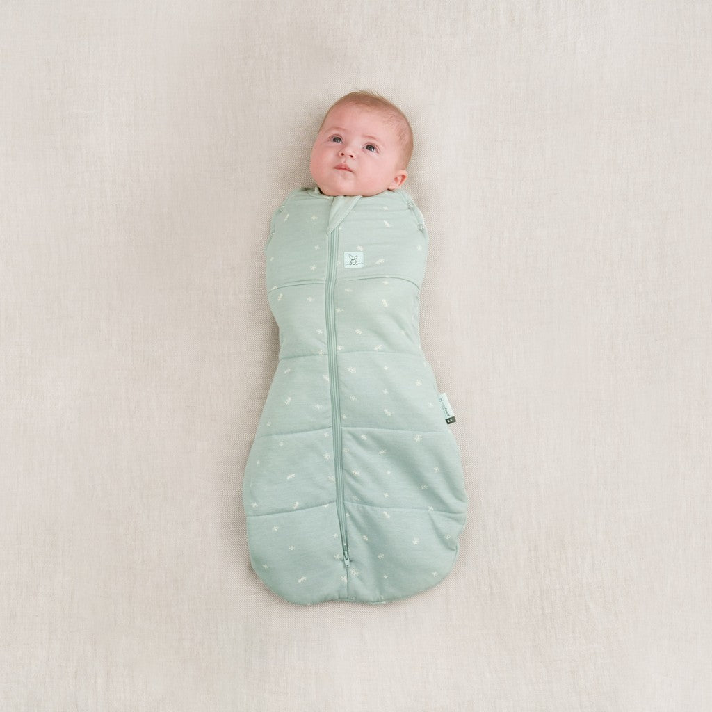 ErgoPouch sac de dormit si de infasat 2in1 Cocoon 3-6 kg 0-3 luni 2,5 Tog Sage