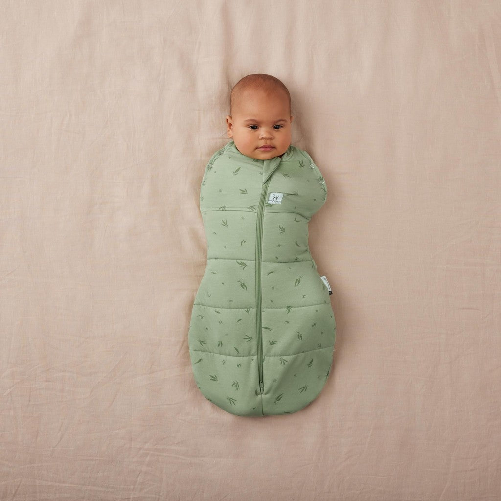 ErgoPouch sac de dormit si de infasat 2in1 Cocoon 3-6 kg 0-3 luni 2,5 Tog Willow