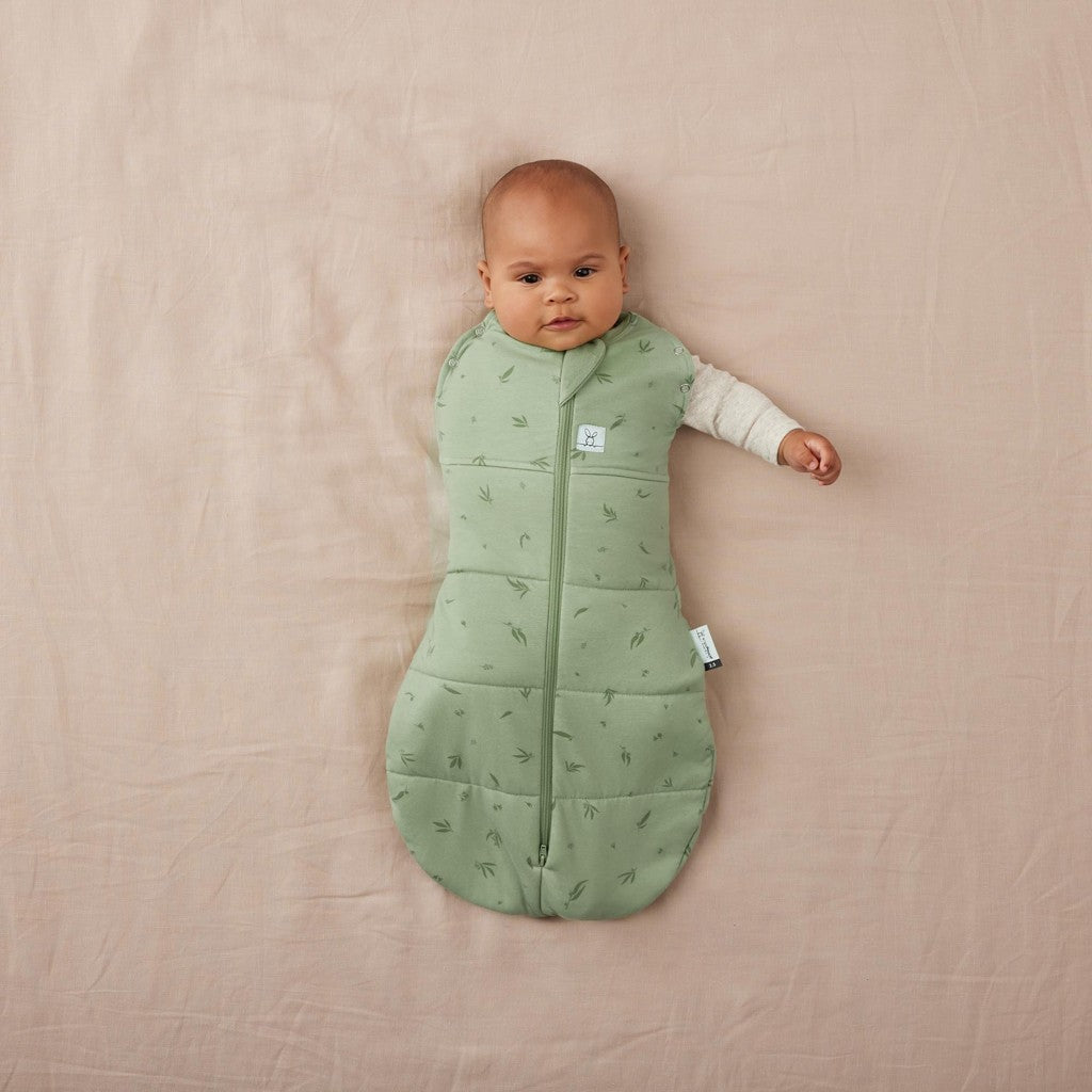 ErgoPouch sac de dormit si de infasat 2in1 Cocoon 3-6 kg 0-3 luni 2,5 Tog Willow
