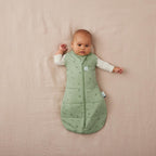 ErgoPouch sac de dormit si de infasat 2in1 Cocoon 3-6 kg 0-3 luni 2,5 Tog Willow