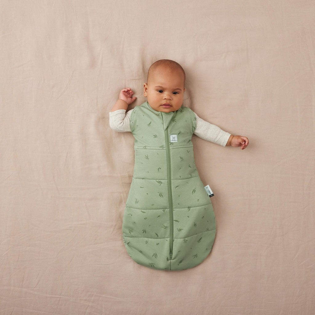 ErgoPouch sac de dormit si de infasat 2in1 Cocoon 3-6 kg 0-3 luni 2,5 Tog Willow