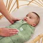 ErgoPouch sac de dormit si de infasat 2in1 Cocoon 3-6 kg 0-3 luni 2,5 Tog Willow