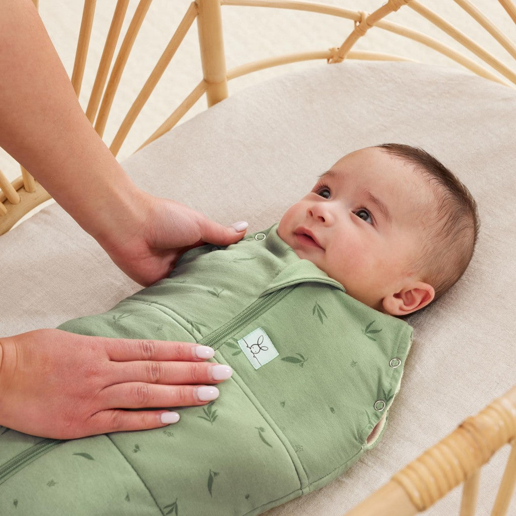ErgoPouch sac de dormit si de infasat 2in1 Cocoon 3-6 kg 0-3 luni 2,5 Tog Willow