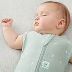 ErgoPouch sac de dormit si de infasat 2in1 Cocoon 8-10 kg 6-12 luni 1 Tog Sage