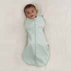 ErgoPouch sac de dormit si de infasat 2in1 Cocoon 8-10 kg 6-12 luni 1 Tog Sage