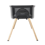 Espiro patut si balansoar 3in1 Tully 0m+ Timber Black