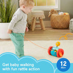 Fisher Price jucarie de tras Pull-Along 12m+ Elefantel