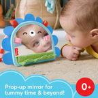 Fisher Price jucarie prietenul oglinda 0m+ Arici