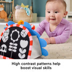 Fisher Price jucarie prietenul oglinda 0m+ Arici