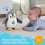Fisher Price pinguin muzical Flap&Wobble Penguin 0m+