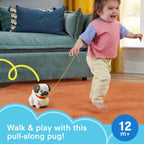 Fisher Price plimbator micii prieteni Pets Walk-The-Pup 12m+ Mops