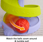 Fisher Price turn de activitati Pets Purrr-fect Ball 9m+ Pisicuta