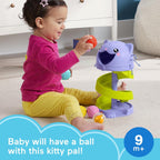 Fisher Price turn de activitati Pets Purrr-fect Ball 9m+ Pisicuta