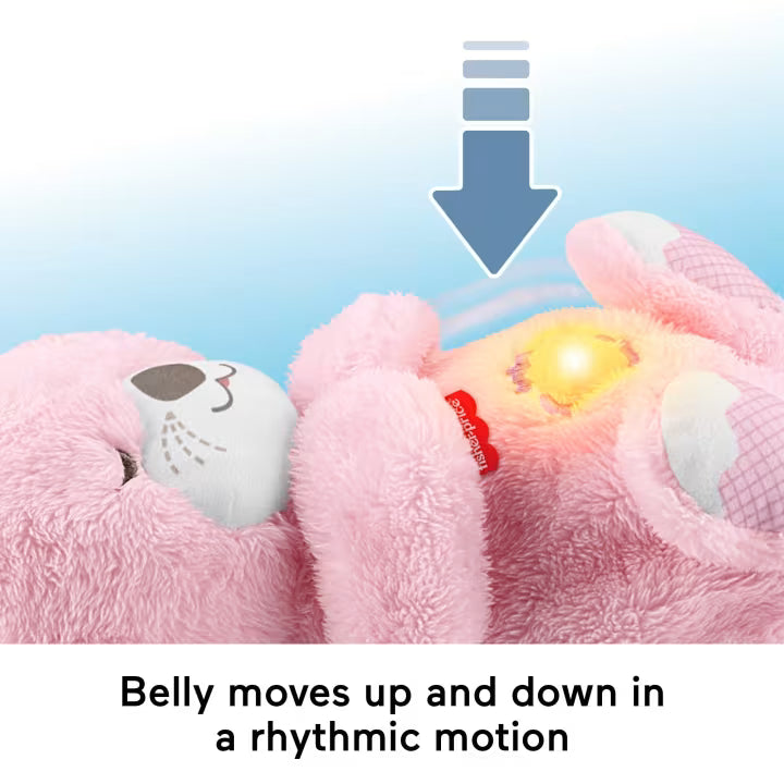 Fisher Price jucarie plus cu functii adorabile 0m+ Vidra roz adormita