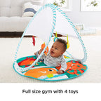 Fisher Price covor de joaca pliabil 0 luni+ 02