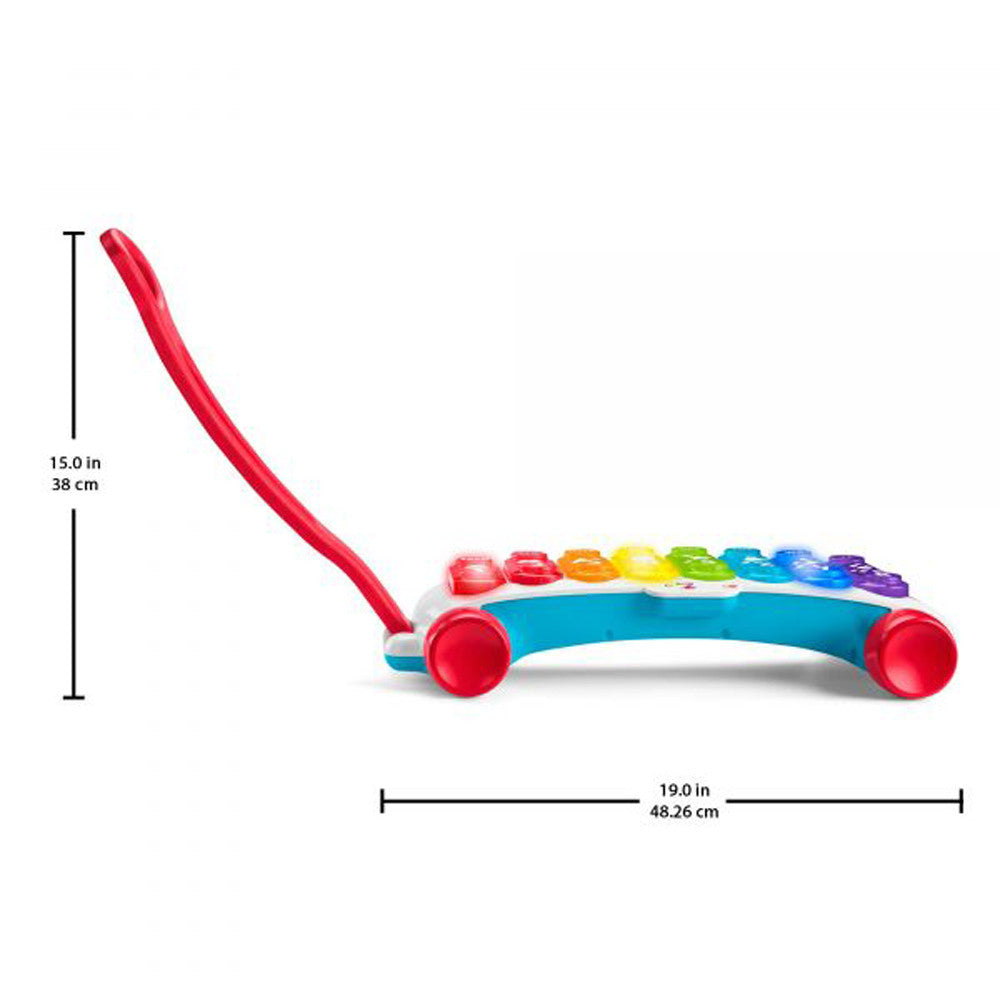 Fisher Price jucarie muzicala Xilofon vorbitoare in limba maghiara 9-36 luni
