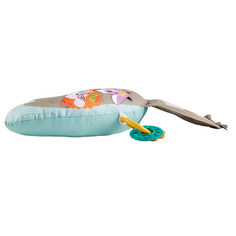 Fisher Price perna muzicala cu vibratii 0m+ 03