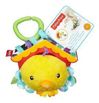 Fisher Price Jucarie zornaitoare Pasare de la 0 luni
