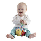 Fisher Price Jucarie zornaitoare Pasare de la 0 luni