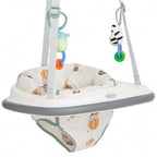 Graco Bumper Jumper Up&Away 6-12 luni