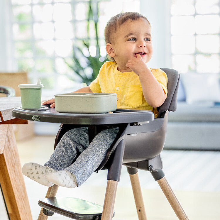 Graco Scaun de masa 3in1 Presti  6m+ Charcoal