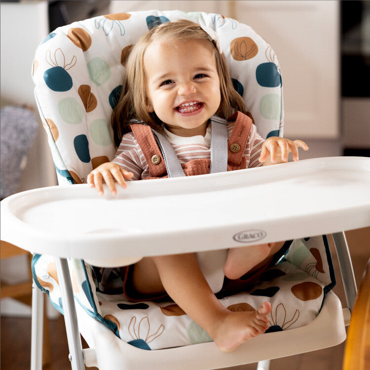 Graco scaun de masa SnackEase 6m+ Organza