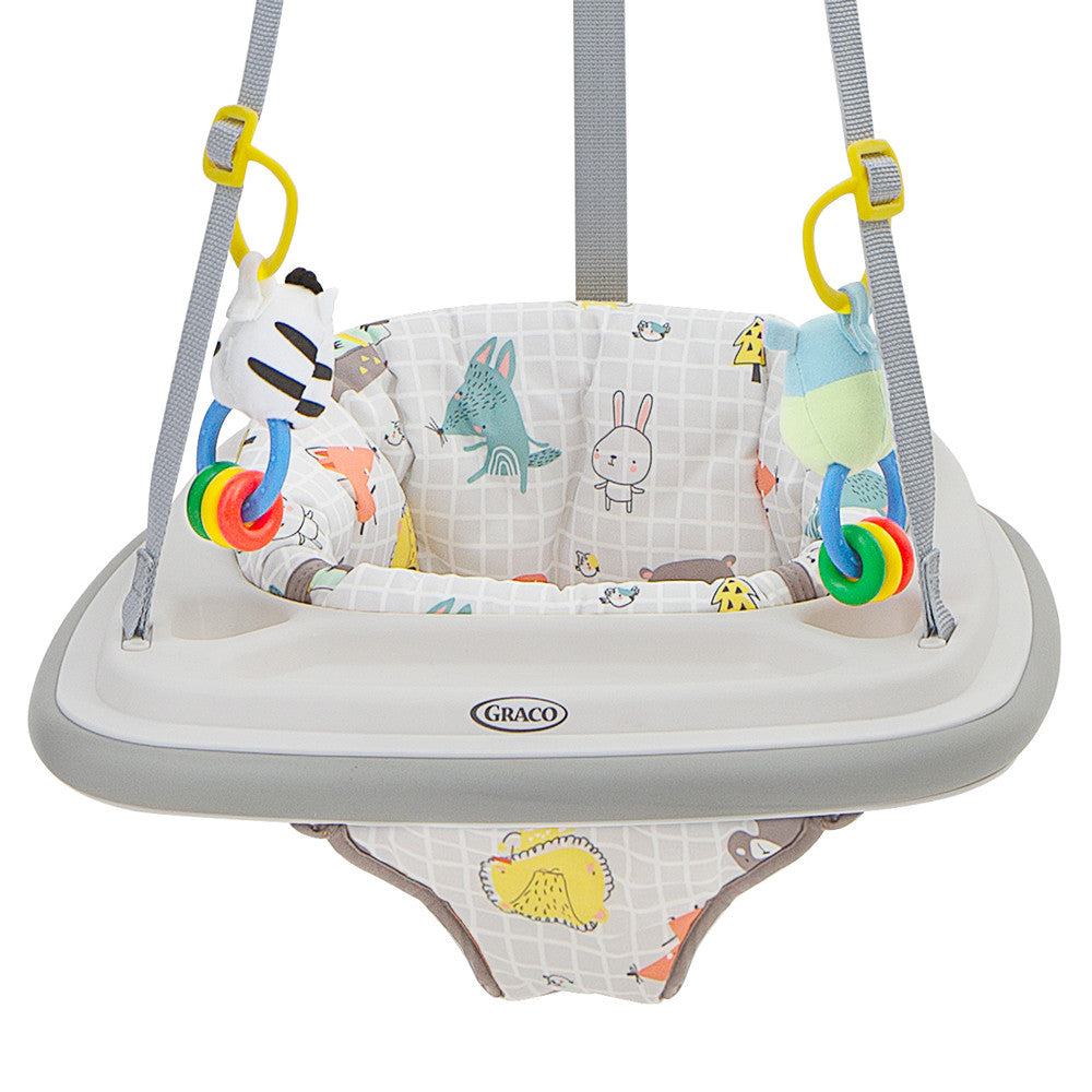 Graco Bumper Jumper 6m+