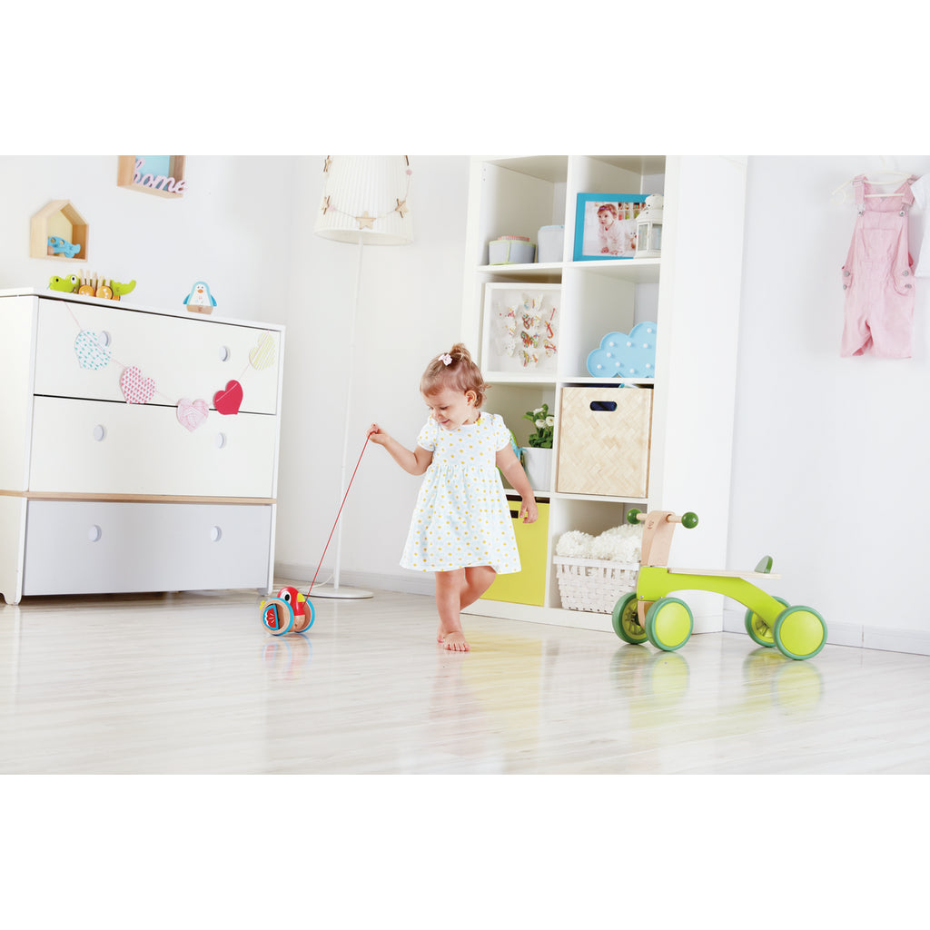 Hape jucarie de tras 12m+ Baby Bird