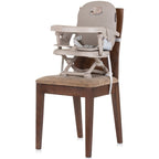 Chipolino inaltator scaun de masa Lollipop 6m+ Macadamia