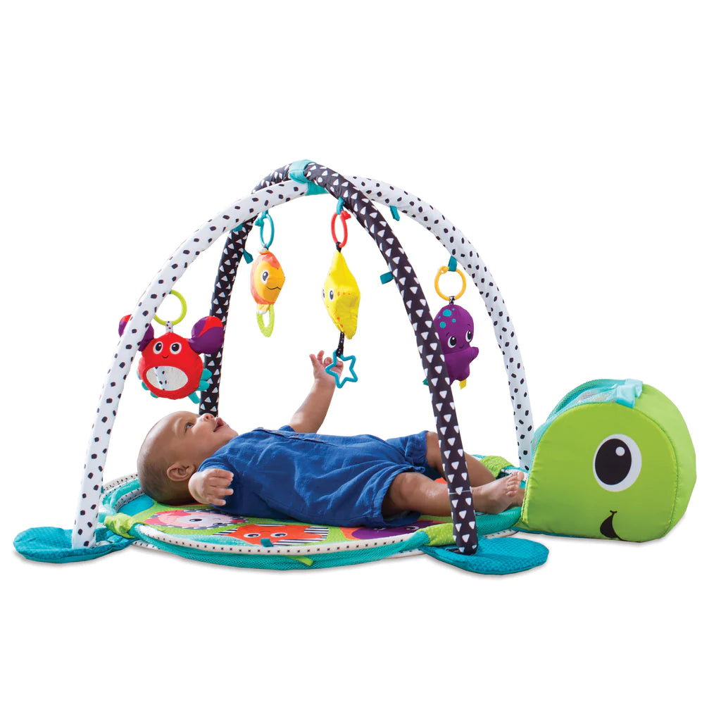 Infantino covor de joaca Grow-With-Me Activity Gym&Ball Pit 0m+