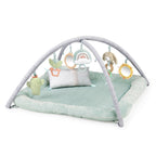 Ingenuity covor de joaca Calm Springs 0m+