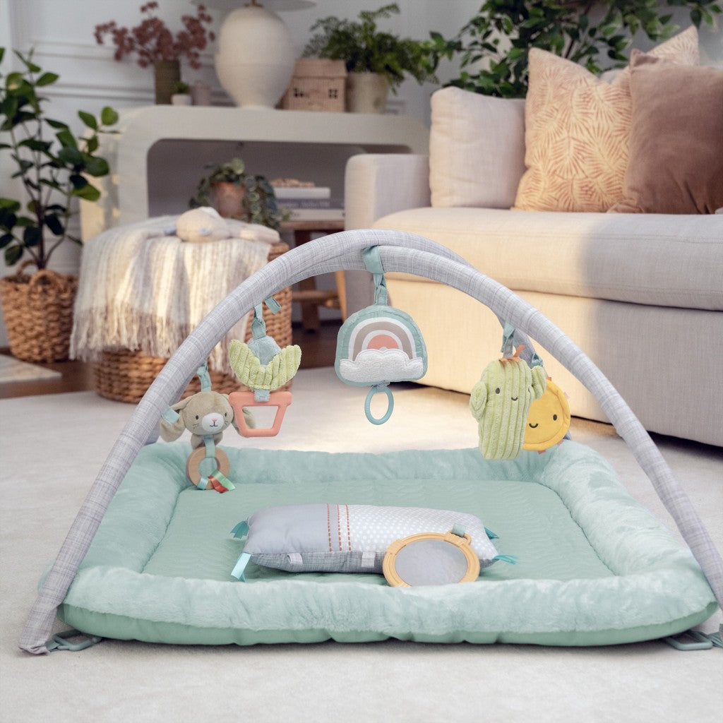 Ingenuity covor de joaca Calm Springs 0m+