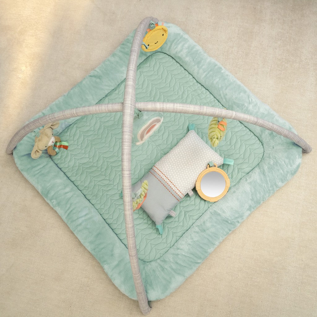 Ingenuity covor de joaca Calm Springs 0m+