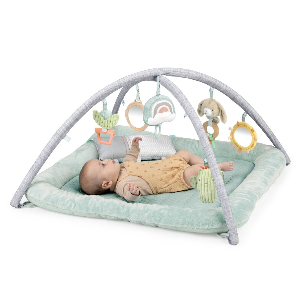 Ingenuity covor de joaca Calm Springs 0m+