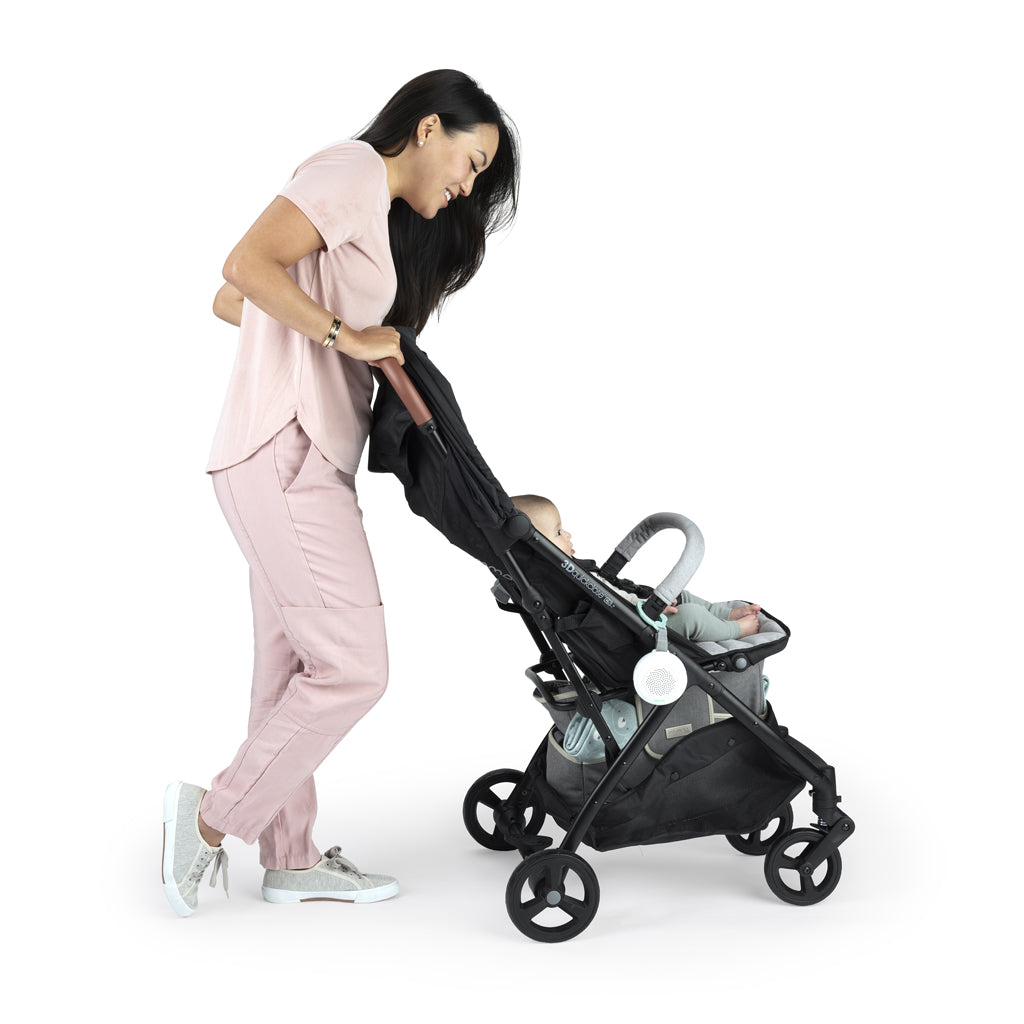 Ingenuity dispozitiv portabil pentru relaxare Pock-a-Bye Baby 6m+