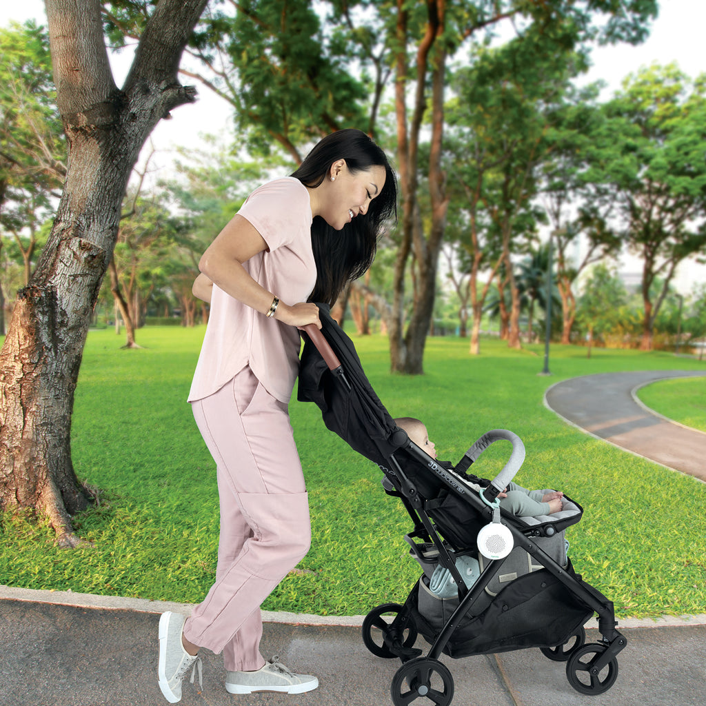 Ingenuity dispozitiv portabil pentru relaxare Pock-a-Bye Baby 6m+
