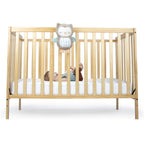 Ingenuity jucarie plus muzicala bufnita Nally 0m+