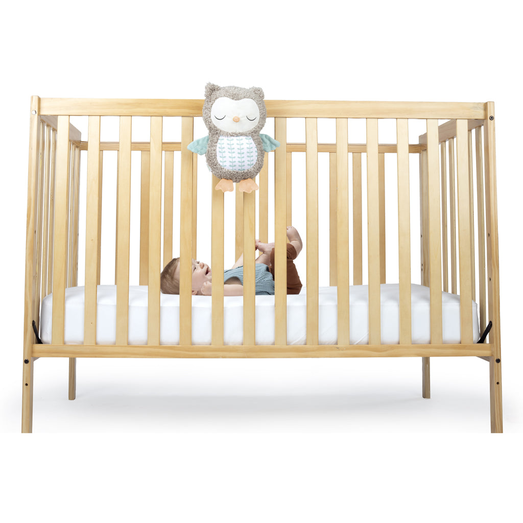 Ingenuity jucarie plus muzicala bufnita Nally 0m+
