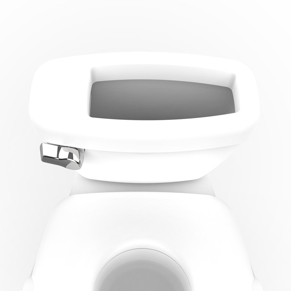 Ingenuity olita cu sunete 2in1 My Size Potty Pro 18m+ Alb