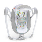 Ingenuity leagan si balansoar transformabil 2in1 pentru 0-9 kg
