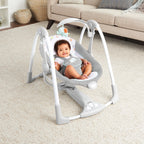 Ingenuity leagan si balansoar transformabil 2in1 pentru 0-9 kg