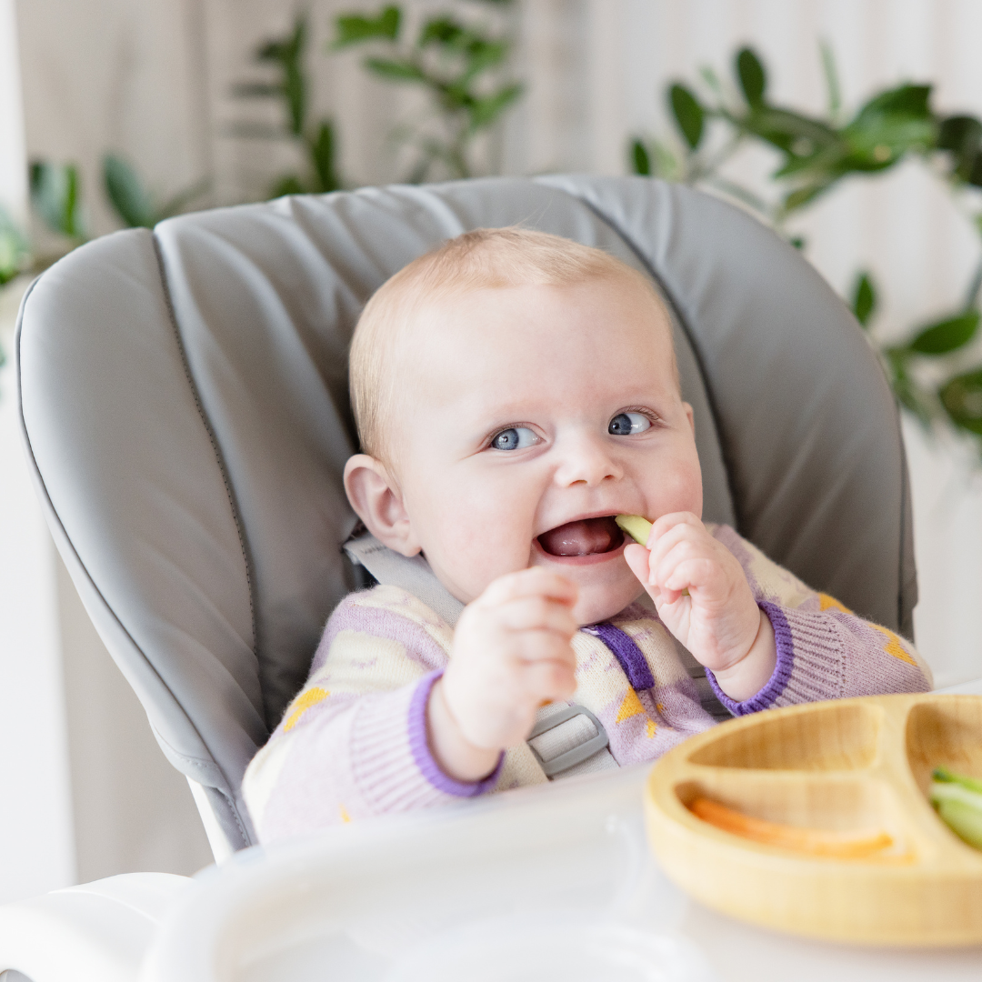 Joie scaun de masa Mimzy Recline 0m+ Walnut Wood