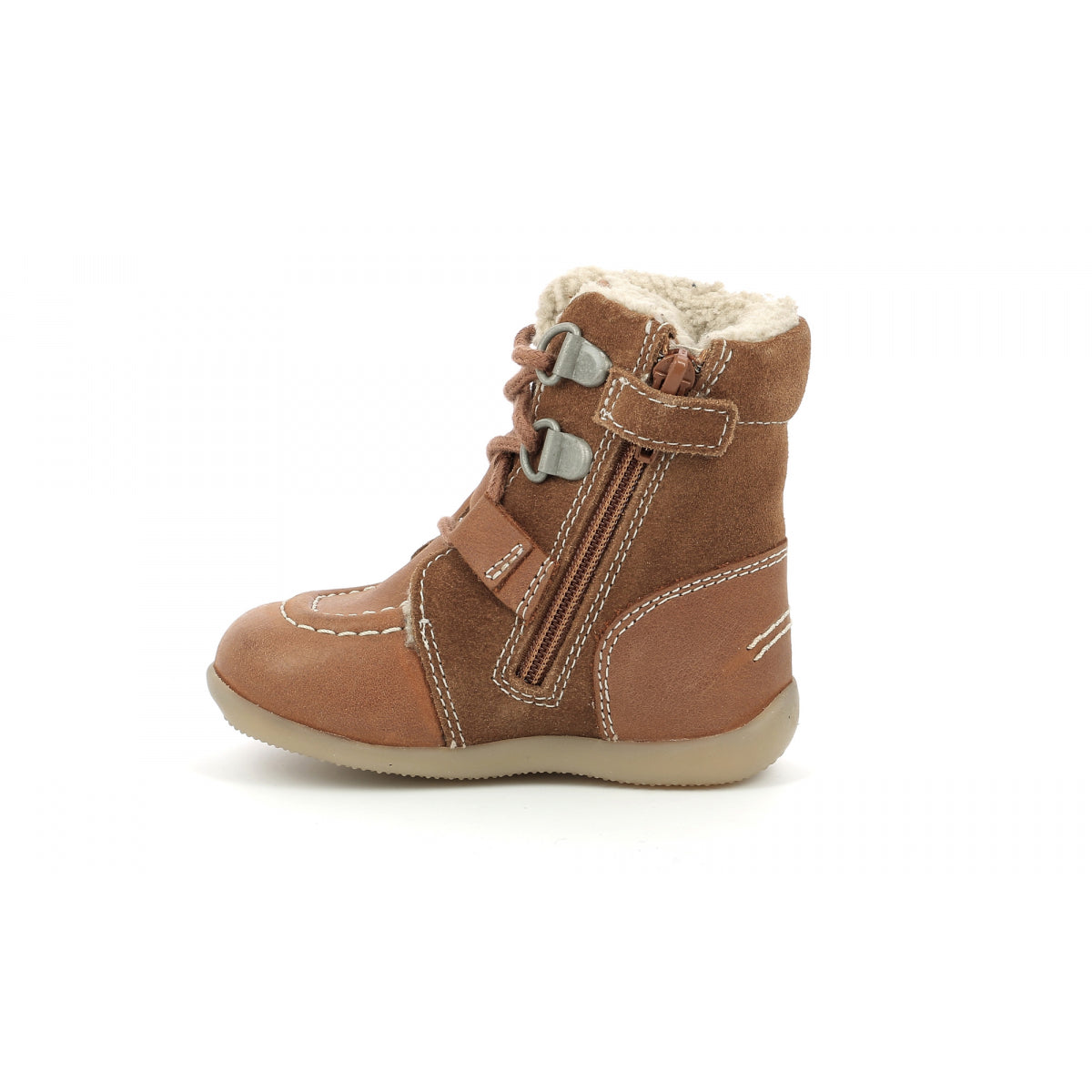  Bamacho Camel  02