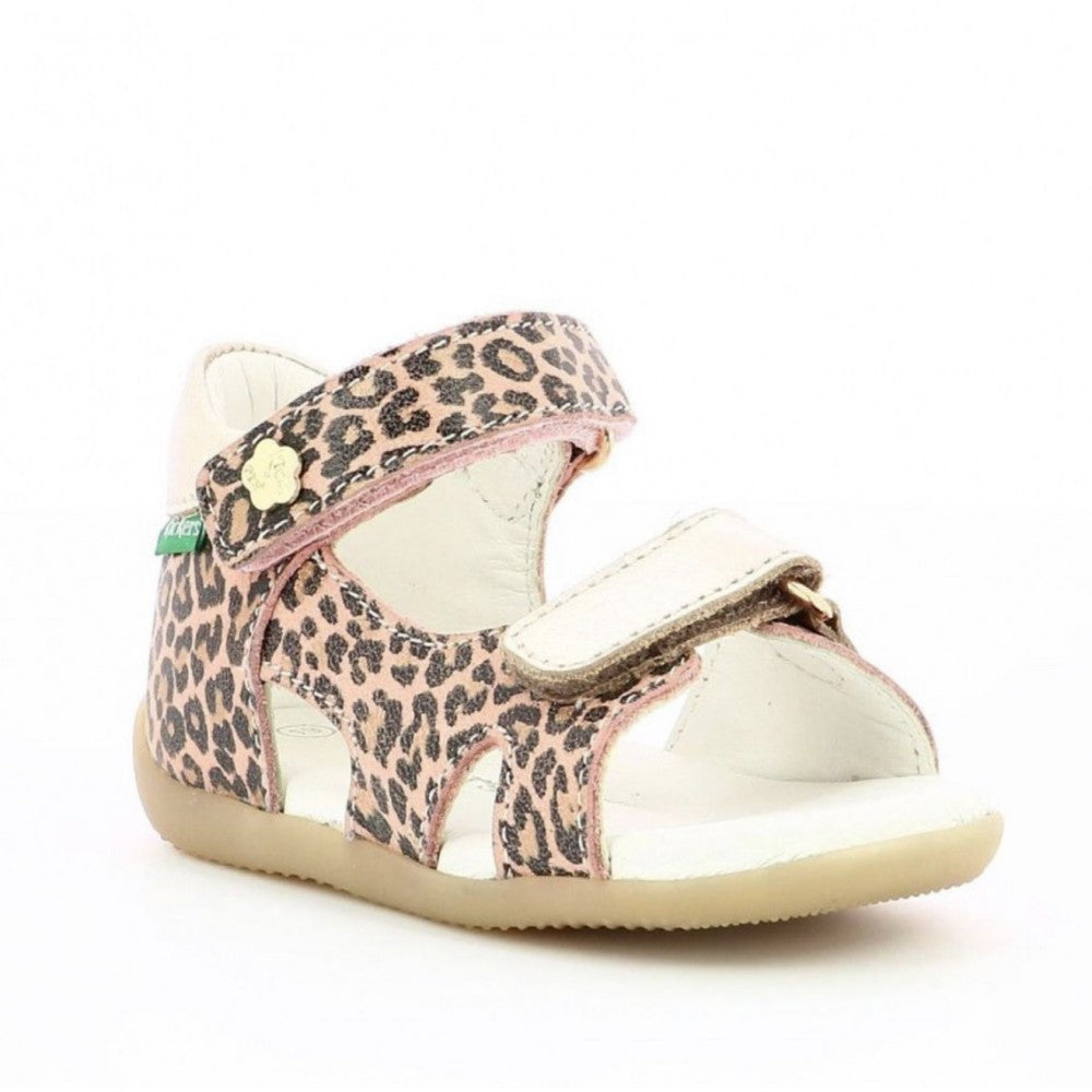  Binsia-2 Beige Leopard 02