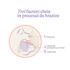 Lansinoh tetina silicon Natural Wave S flux lent 1m+, 2 buc