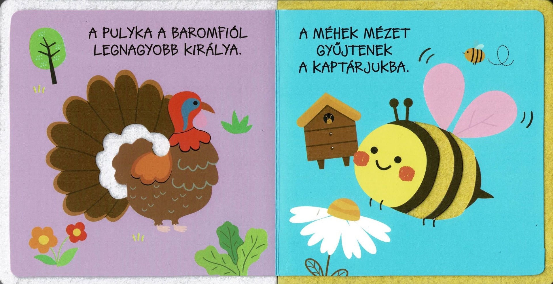 Lira carte bebe in limba maghiara 12m+ Érintsd meg! - A tanyán