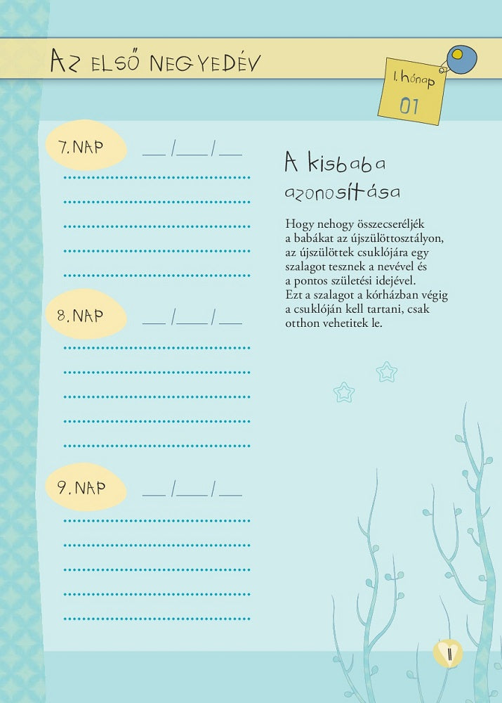 Lira carte in limba maghiara 0m+ Napló a babám első évéről Lány